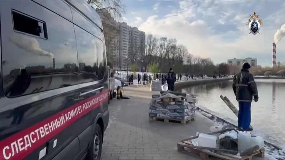 Монстры из Балашихи: в пруду найдено тело убитого шестилетнего мальчика