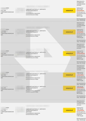 У матери, которая могла убить шестилетнего сына в Балашихе, обнаружены долги на сумму около 100 тыс