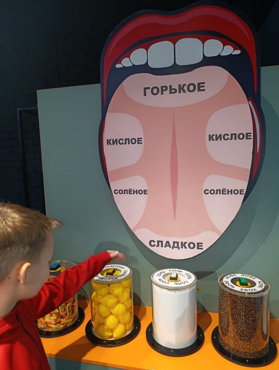 Интересные каникулыНачало каникул ученики 3а,4э и 5м класса отметили в ИнноПарке - интерактивном музее науке, который рассказывает о том, как устроен мир вокруг нас Интересные каникулыНачало каникул ученики 3а,4э и 5м класса отметили в ИнноПарке - интерактивном музее науке, который рассказывает о том, как устроен мир вокруг нас