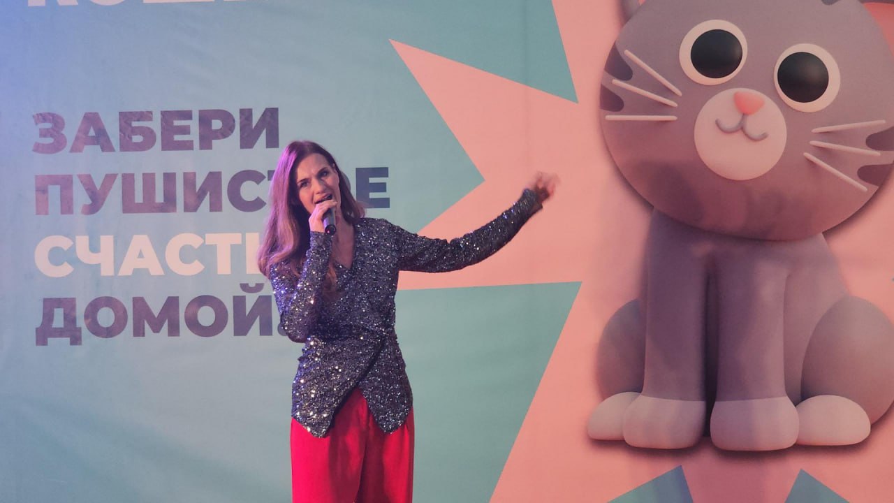 В Люберцах провели благотворительную выставку пушистых питомцев, чтобы передать их в добрые руки В Люберцах провели благотворительную выставку пушистых питомцев, чтобы передать их в добрые руки