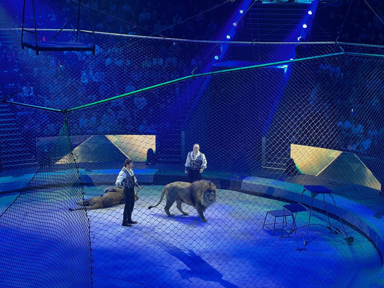 Волшебный день для 2Е класса! Волшебный день для 2Е класса!