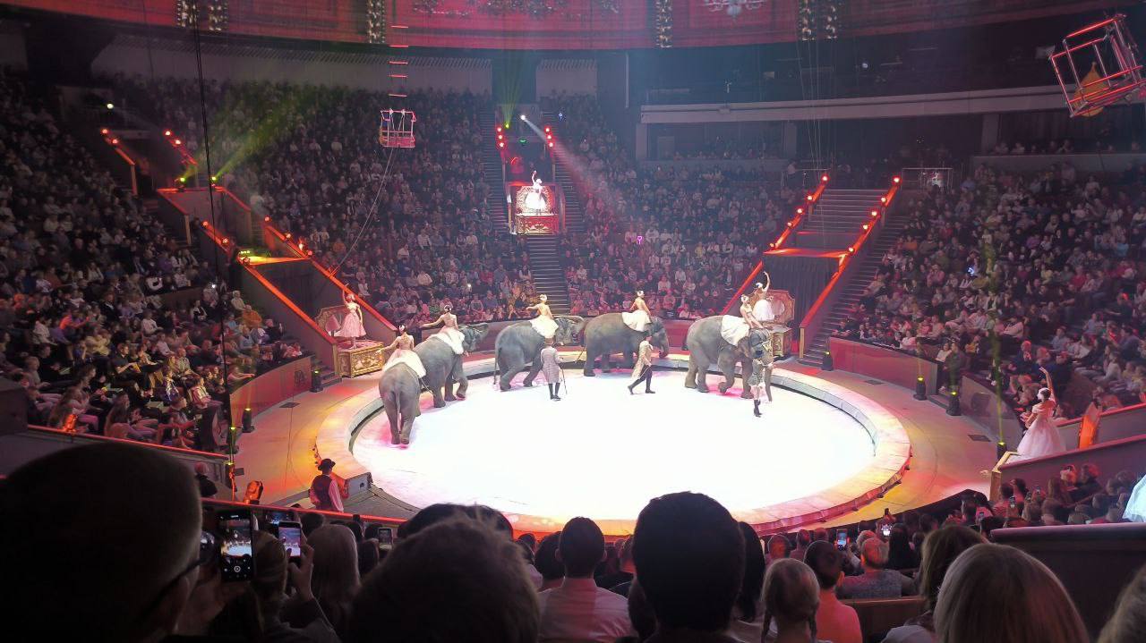 Волшебный день для 2Е класса! Волшебный день для 2Е класса!