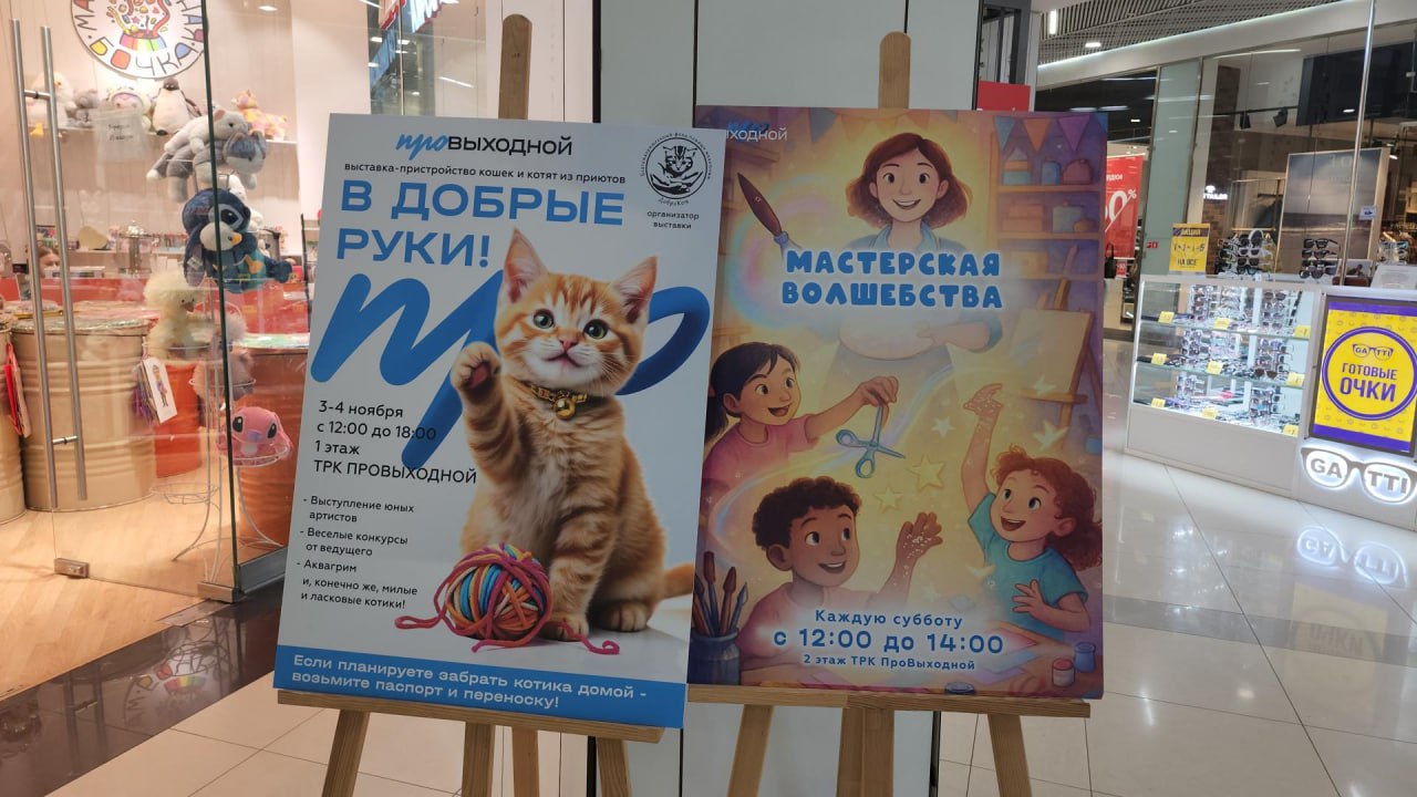 В Люберцах провели благотворительную выставку пушистых питомцев, чтобы передать их в добрые руки В Люберцах провели благотворительную выставку пушистых питомцев, чтобы передать их в добрые руки