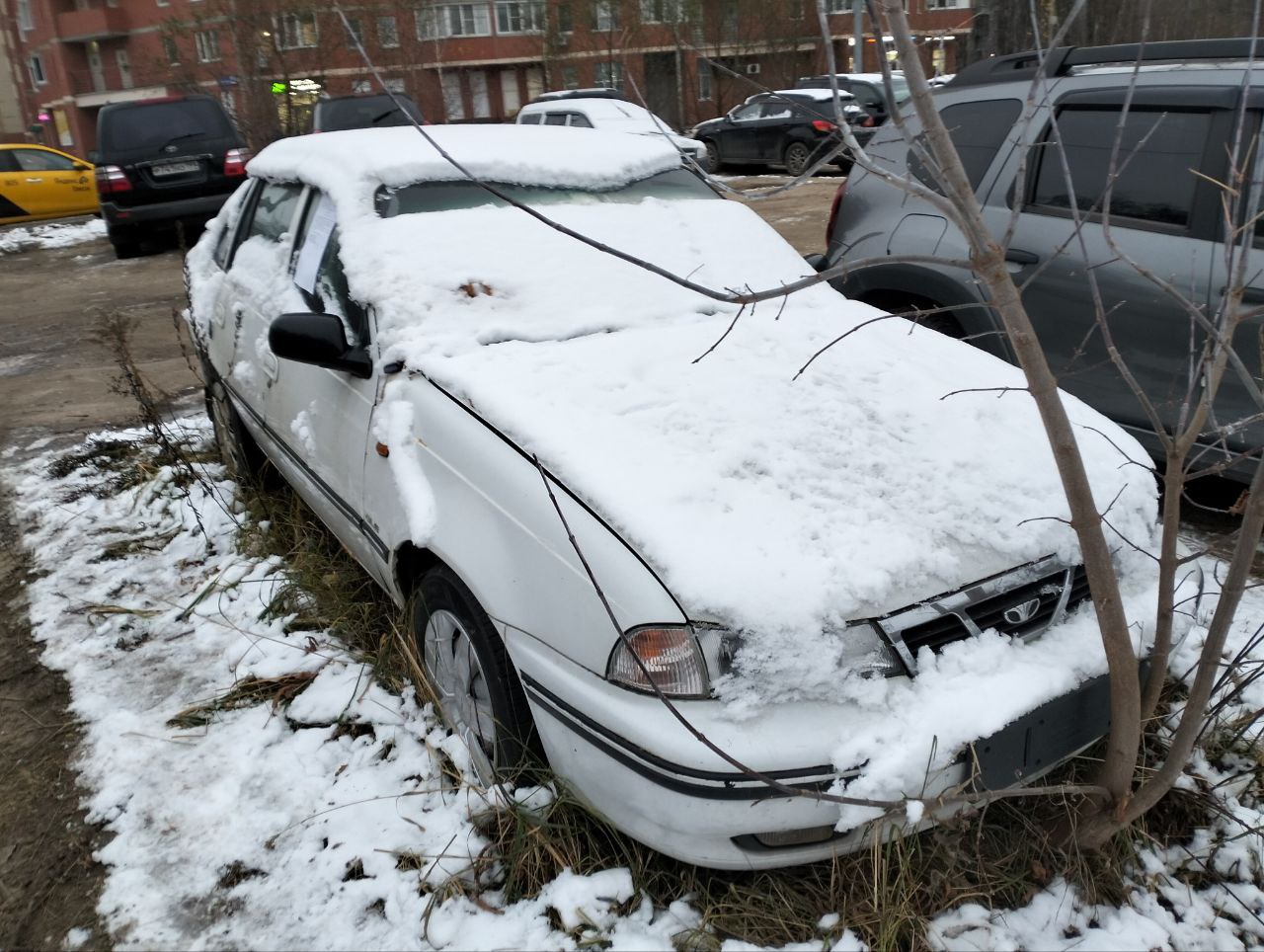 На территории округа Пушкинский обнаружены потенциально бесхозные ТС На территории округа Пушкинский обнаружены потенциально бесхозные ТС