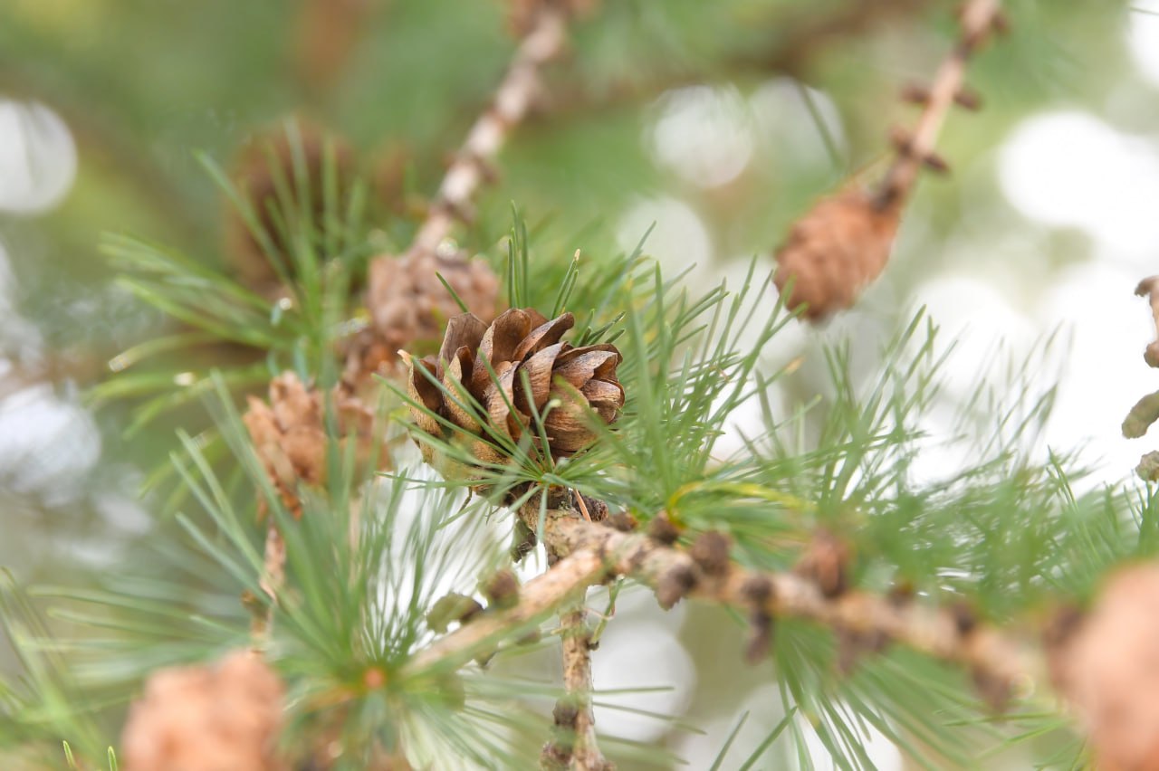 Пусть погода ни в чём не станет препятствием