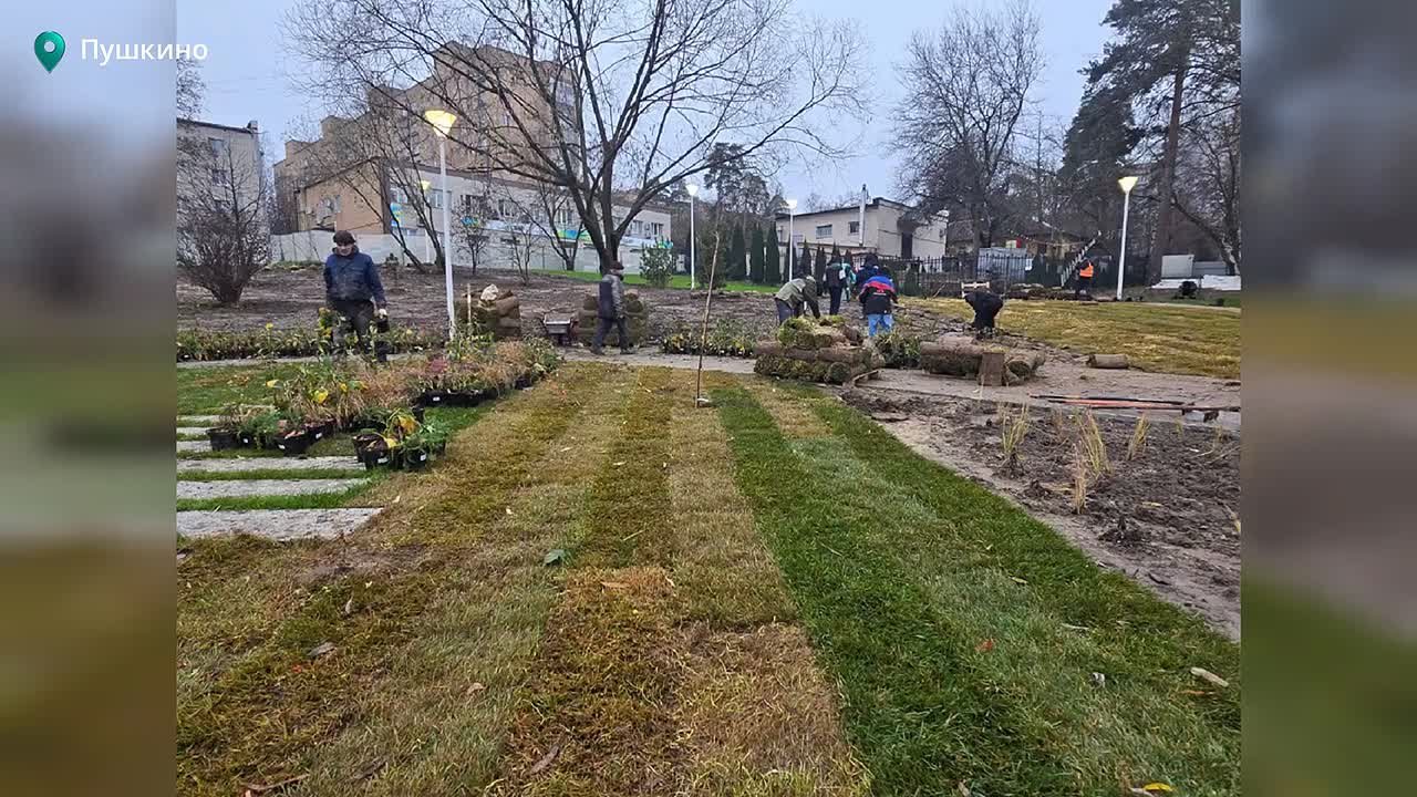 Пушкинские депутаты оценили, как преобразилась территория у Травинского озера
