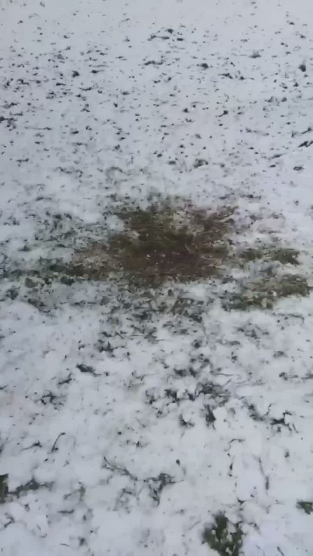 Жильцы Флотской улицы в Москве несколько месяцев терпят взрывы и испорченные подъезды