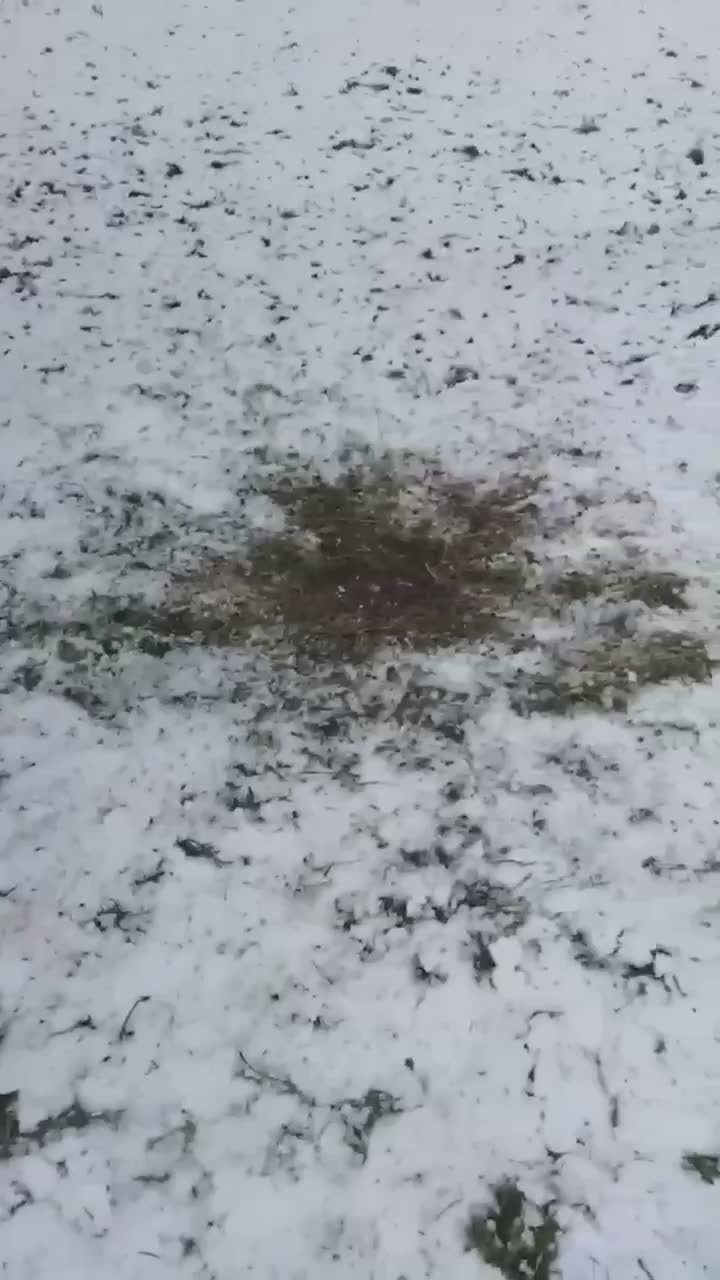 Жильцы Флотской улицы в Москве несколько месяцев терпят взрывы и испорченные подъезды