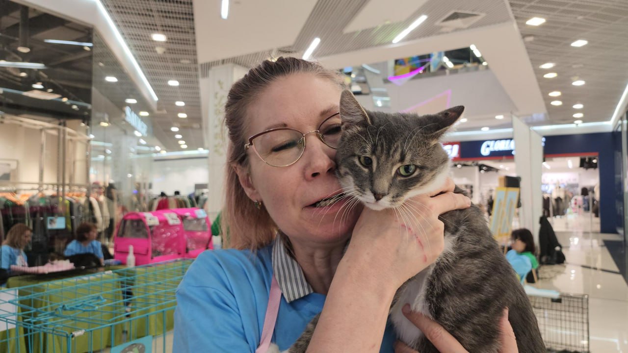 В Люберцах провели благотворительную выставку пушистых питомцев, чтобы передать их в добрые руки В Люберцах провели благотворительную выставку пушистых питомцев, чтобы передать их в добрые руки