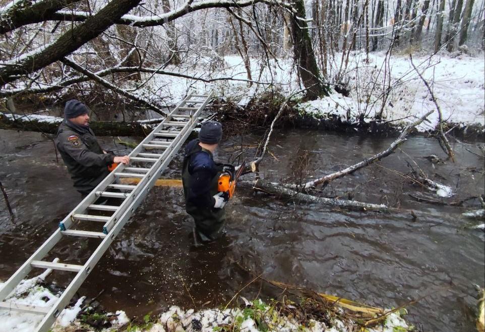 В минувшие выходные муниципальные службы Богородского округа помогли местным жителям расчистить проблемный участок реки Загрёбка от заторов и поваленных деревьев В минувшие выходные муниципальные службы Богородского округа помогли местным жителям расчистить проблемный участок реки Загрёбка от заторов и поваленных деревьев