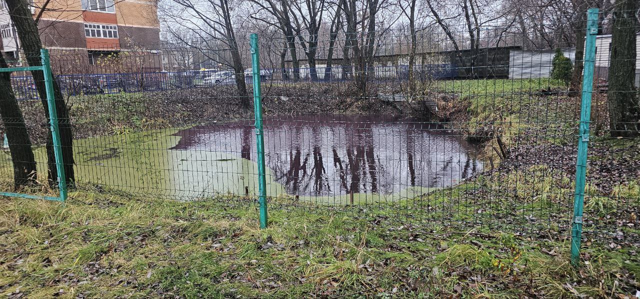 По обращению жителей Долгопрудного проводят исследования пруда в Хлебниково По обращению жителей Долгопрудного проводят исследования пруда в Хлебниково