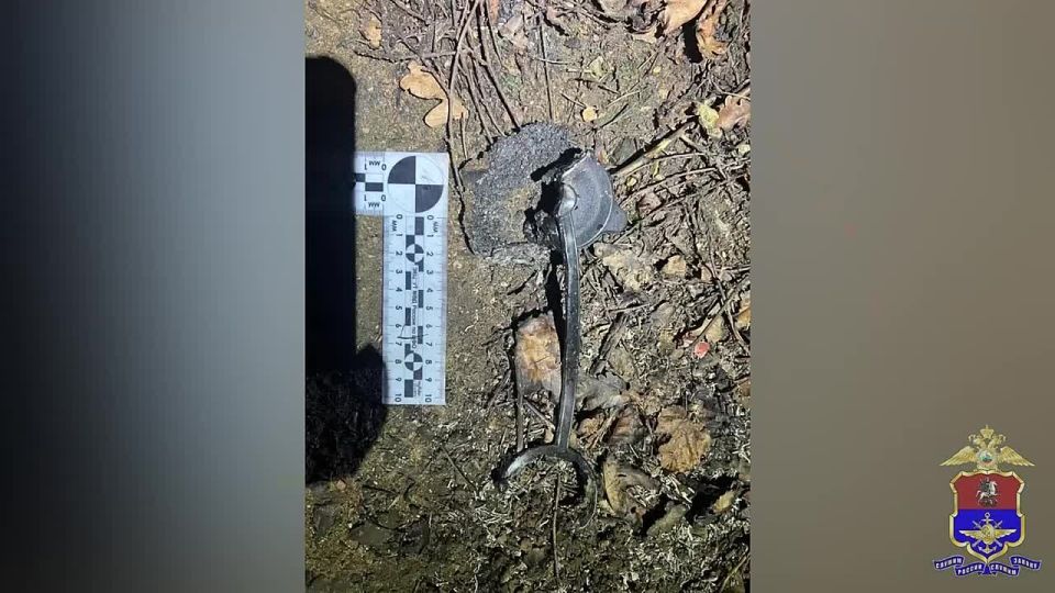 За поджог релейного шкафа на Московской железной дороге оперативники задержали юношу из Подмосковья