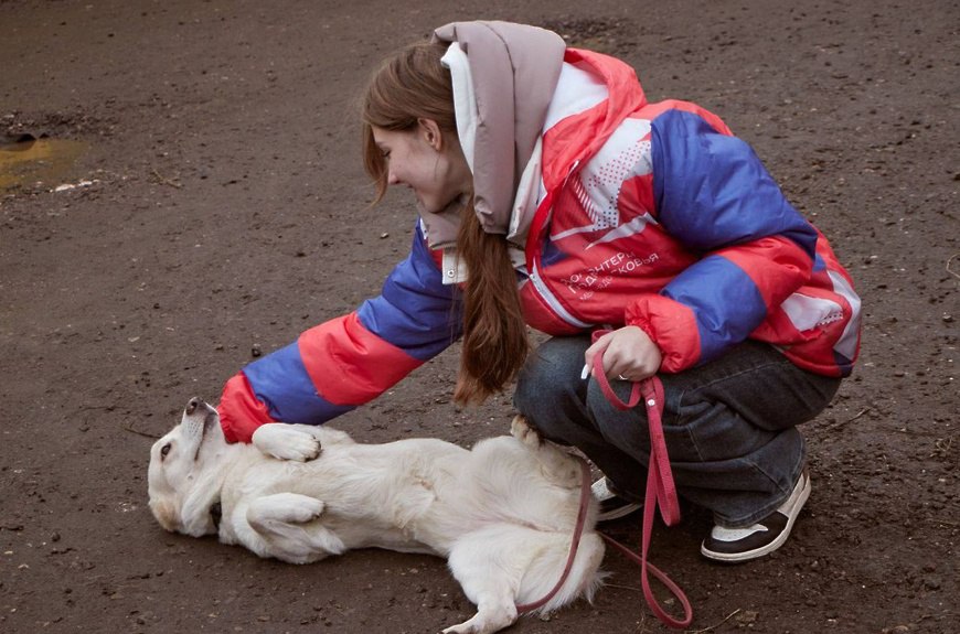 Волонтёры из передали приюту для животных 20 килограммов корма