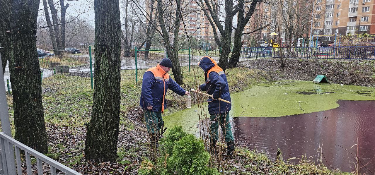 По обращению жителей Долгопрудного проводят исследования пруда в Хлебниково
