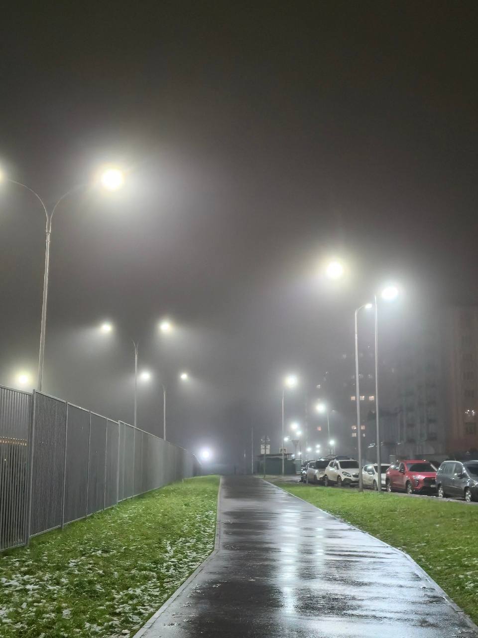 АТМОСФЕРА: Подмосковье накрыл плотный туман — видимость составляет 200–700метров