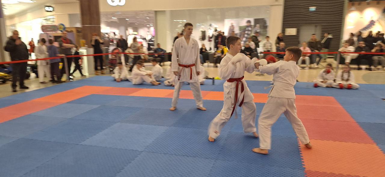 В Подмосковье воспитанники подшефного военно-патриотического клуба «Юные софринцы» заняли призовые места в турнире по всестилевому каратэ СЭНЭ В Подмосковье воспитанники подшефного военно-патриотического клуба «Юные софринцы» заняли призовые места в турнире по всестилевому каратэ СЭНЭ