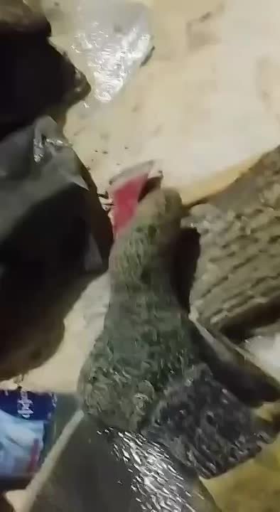 Рукодельницы из Ивантеевки связали для бойцов СВО носки и мочалки