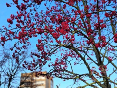 Доброе утро, Серпухов!. Сегодня ожидается около 11 градусов тепла