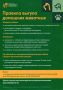 В Подмосковье действуют правила выгула домашних животных