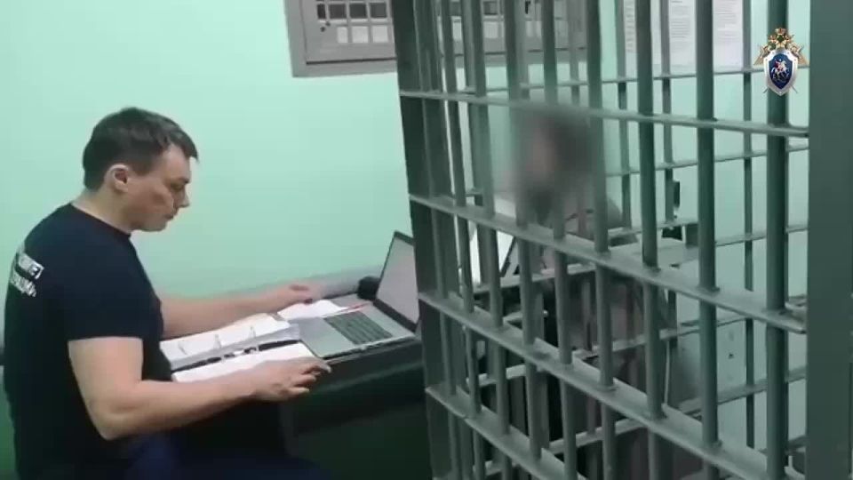 Женщине, жестоко убившей своего шестилетнего сына в Подмосковье, предъявлено обвинение, сообщает ГСУ СК РФ по Московской области