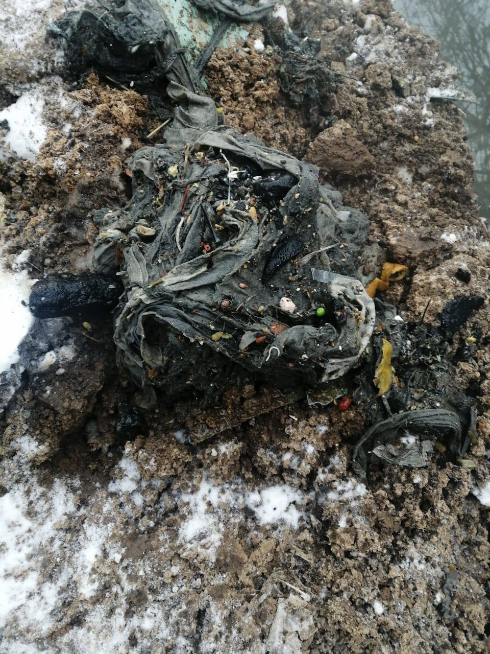 Специалисты коммунальных служб продолжают ежедневно бороться с засорами в канализационных сетях Специалисты коммунальных служб продолжают ежедневно бороться с засорами в канализационных сетях