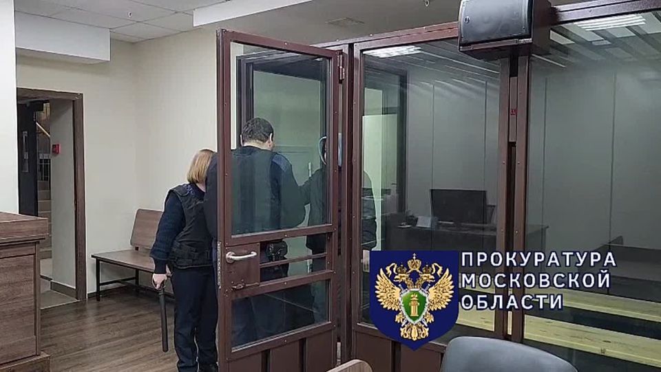 Горе-мать, убившую и обезглавившую 6-летнего сына в Балашихе, заключили под стражу до 16 января 2026 года