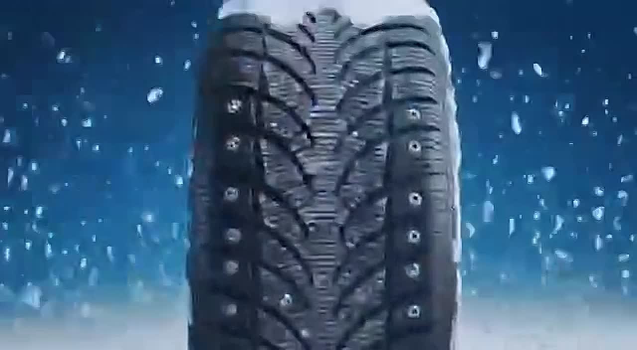 Татьяна Витушева: Внимание, уважаемые автомобилисты!