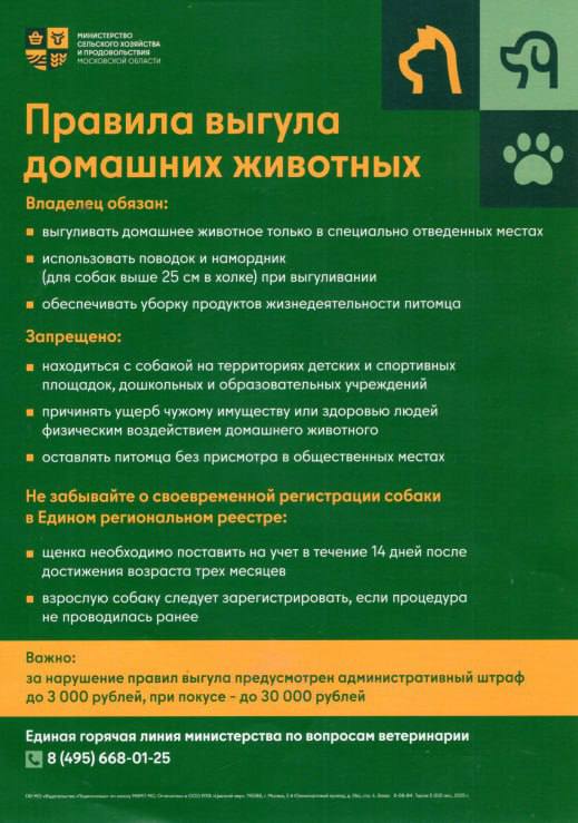 В Подмосковье действуют правила выгула домашних животных