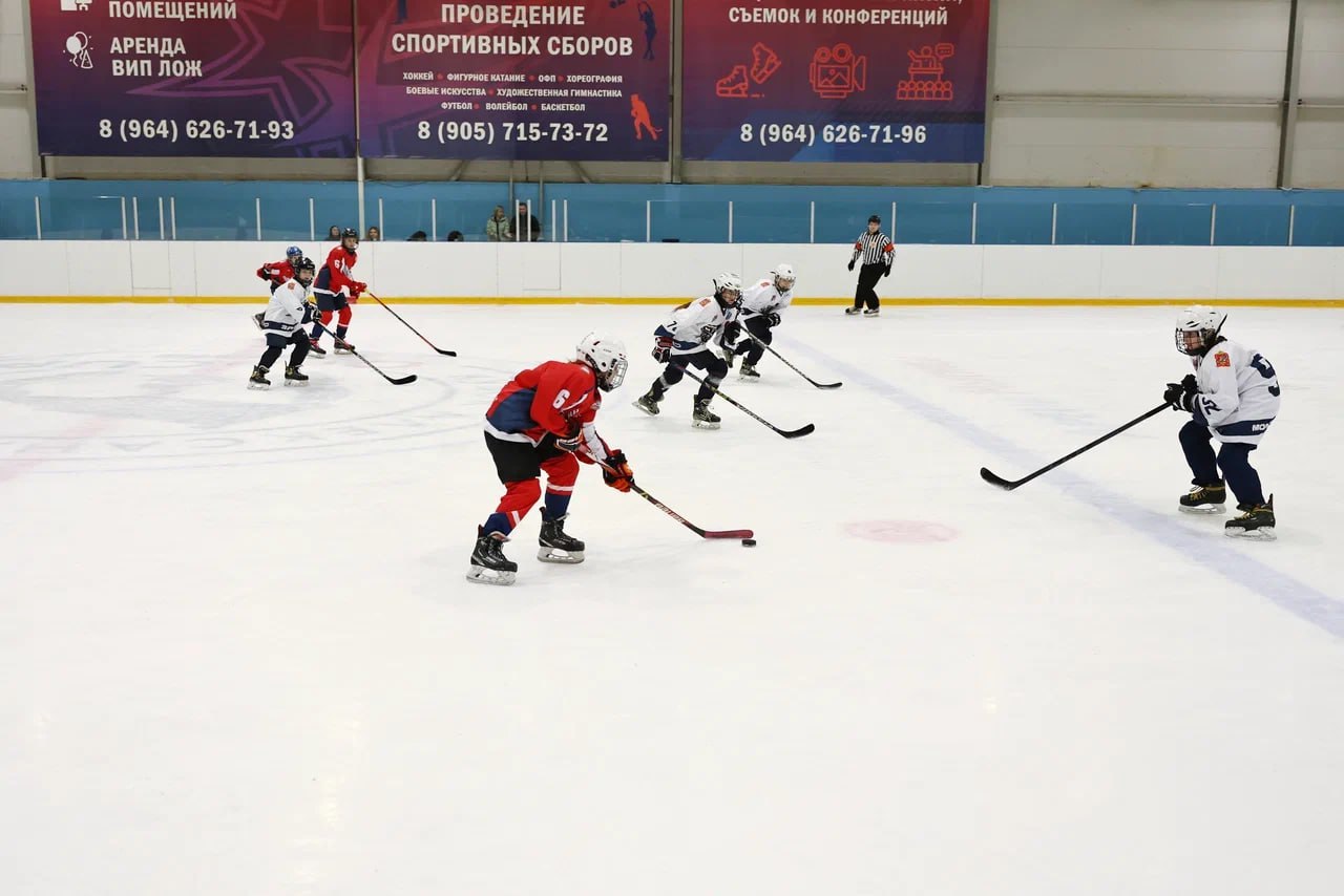 В Мытищах состоялся турнир по хоккею среди девичьих команд В Мытищах состоялся турнир по хоккею среди девичьих команд