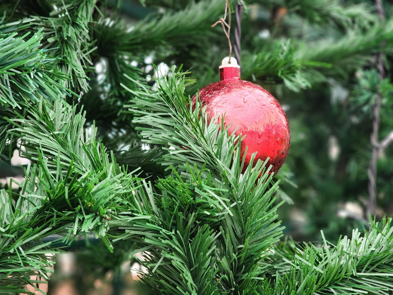 Коммунальные службы установили шестнадцатиметровую ель в центре Старой Купавны Коммунальные службы установили шестнадцатиметровую ель в центре Старой Купавны
