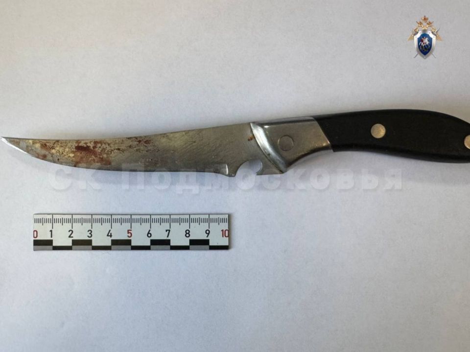 В Егорьевске арестована местная жительница, обвиняемая в покушении на убийство сожителя