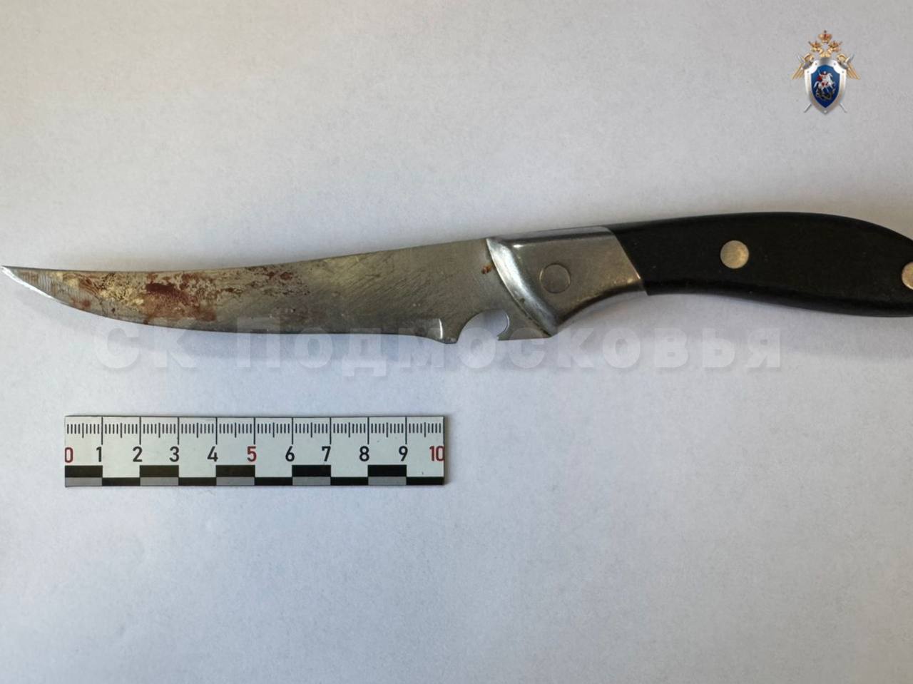 В Егорьевске арестована местная жительница, обвиняемая в покушении на убийство сожителя