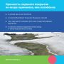 Вниманию воскресенцев. Несмотря на прохладную погоду, осенью у водоёмов всё ещё можно встретить отдыхающих