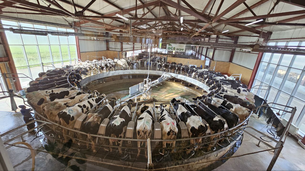 Ферма в селе Сеньково озёрского предприятия «Емельяновка», которое является частью агрохолдинга «ОСП агро», вошла в ТОП-30 самых эффективных молочных хозяйств России Ферма в селе Сеньково озёрского предприятия «Емельяновка», которое является частью агрохолдинга «ОСП агро», вошла в ТОП-30 самых эффективных молочных хозяйств России