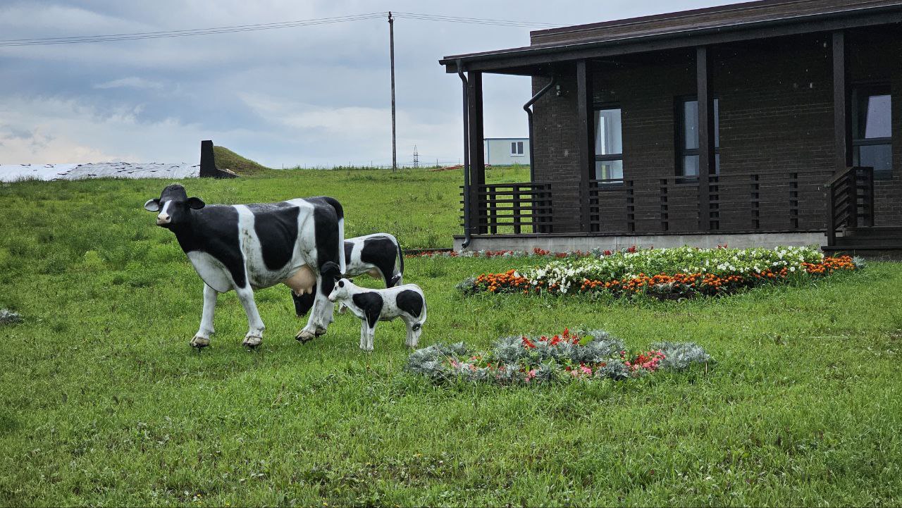 Ферма в селе Сеньково озёрского предприятия «Емельяновка», которое является частью агрохолдинга «ОСП агро», вошла в ТОП-30 самых эффективных молочных хозяйств России Ферма в селе Сеньково озёрского предприятия «Емельяновка», которое является частью агрохолдинга «ОСП агро», вошла в ТОП-30 самых эффективных молочных хозяйств России