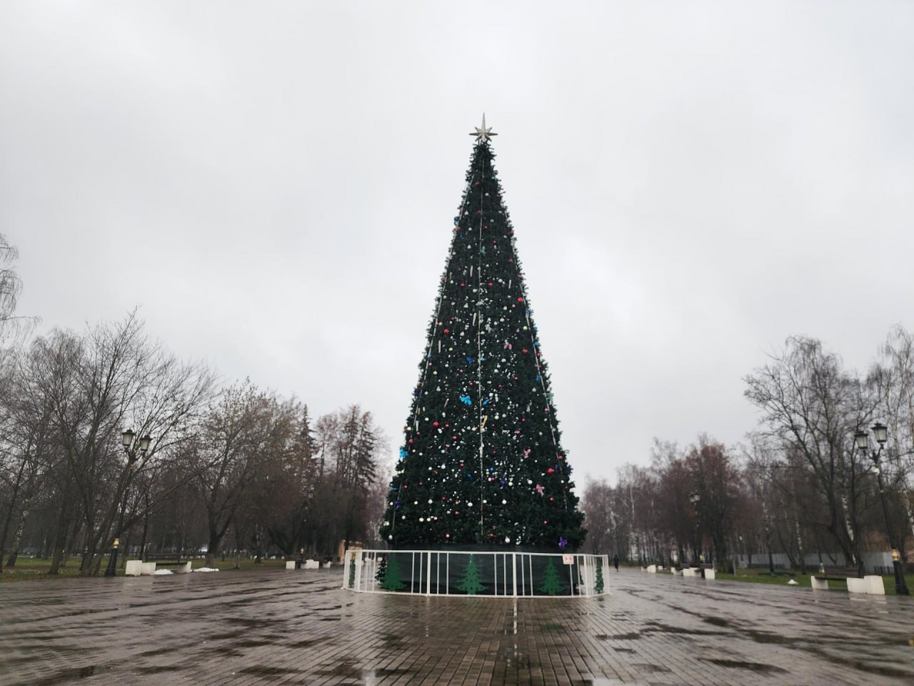 Коммунальные службы установили шестнадцатиметровую ель в центре Старой Купавны