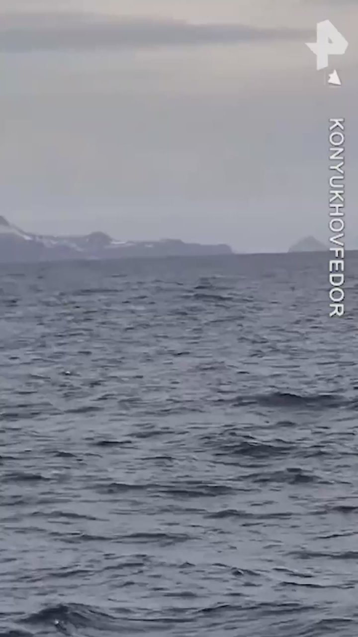 Фёдор Конюхов отправился в экспедицию в Антарктиду