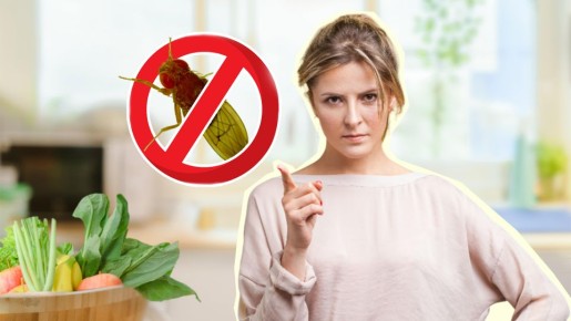 Распрощаетесь с мошками на кухне в два счета: вот какой хитрый трюк придумали хозяйки