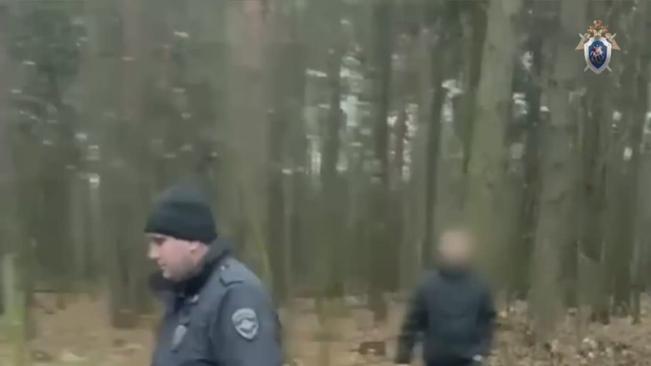 В Подмосковье задержан маньяк, который похищал и убивал нянь