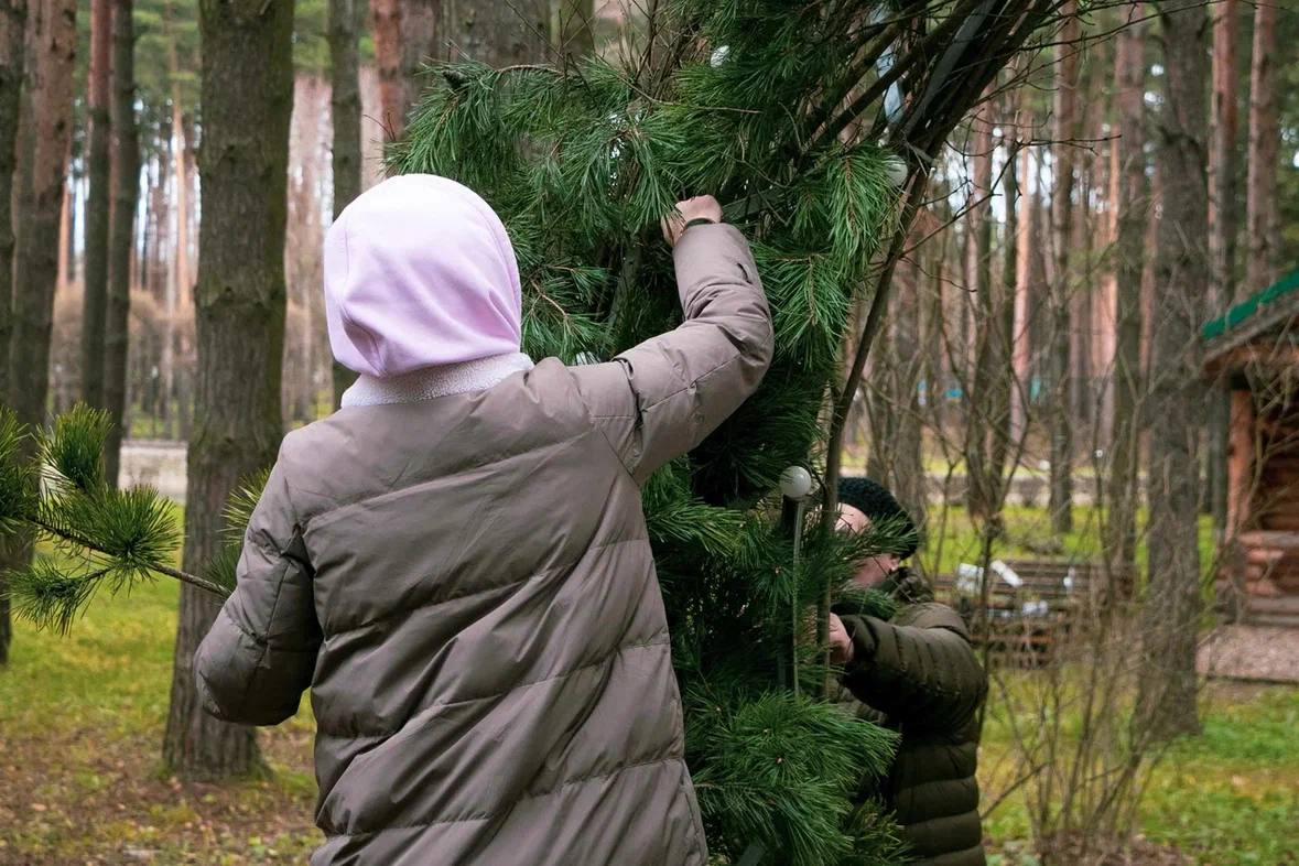 Готовимся к запуску зимнего сезона в парках Готовимся к запуску зимнего сезона в парках