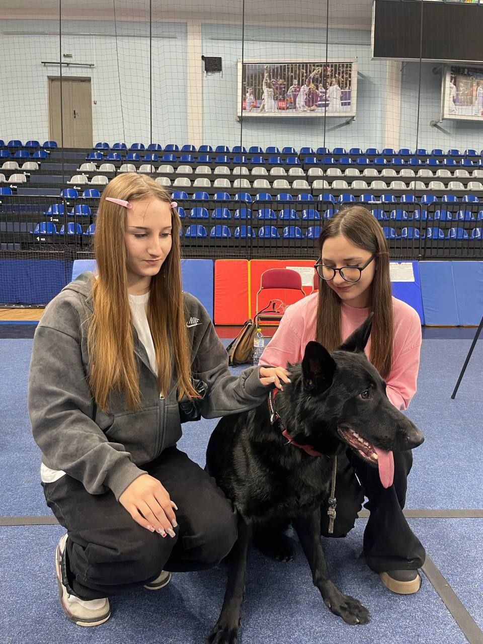 В неустанном стремлении направить юные таланты на путь осознанного выбора, профориентация занимает ключевое место в образовательном процессе, особенно в переломный период 8-9 классов В неустанном стремлении направить юные таланты на путь осознанного выбора, профориентация занимает ключевое место в образовательном процессе, особенно в переломный период 8-9 классов