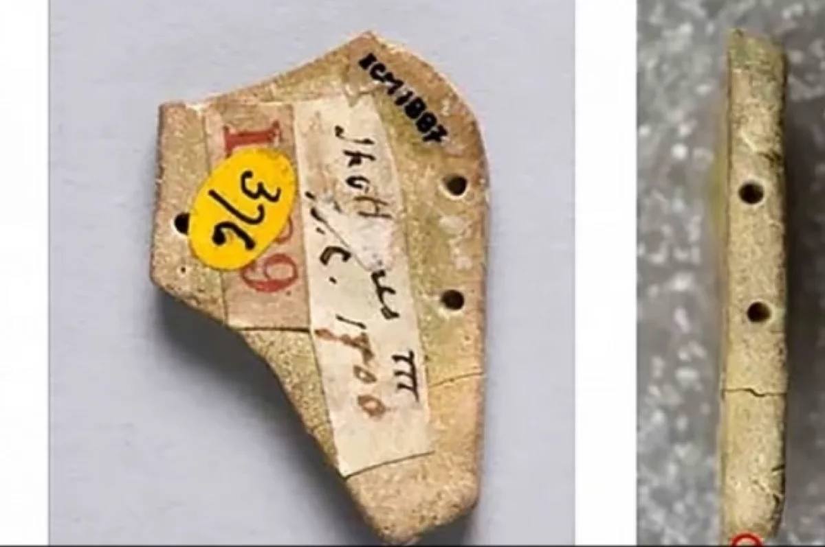 Ученый Трич раскрыл тайну необычного артефакта из гробницы Тутанхамона