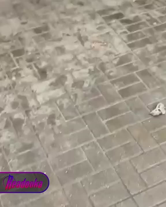 Обнаружена подозрительная пачка 100 купюр в Подмосковье — место оцепили силовики