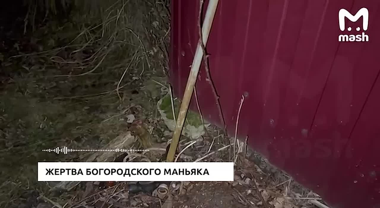 Экспертиза не обнаружила в организме сына богородского маньяка наркотиков, а на его теле — следов побоев