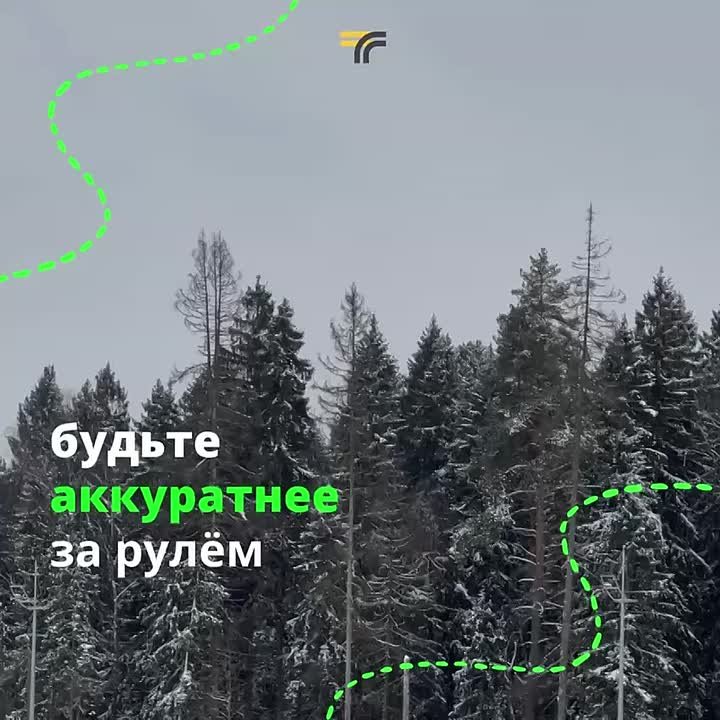 В Подмосковье сейчас местами идёт мокрый снег