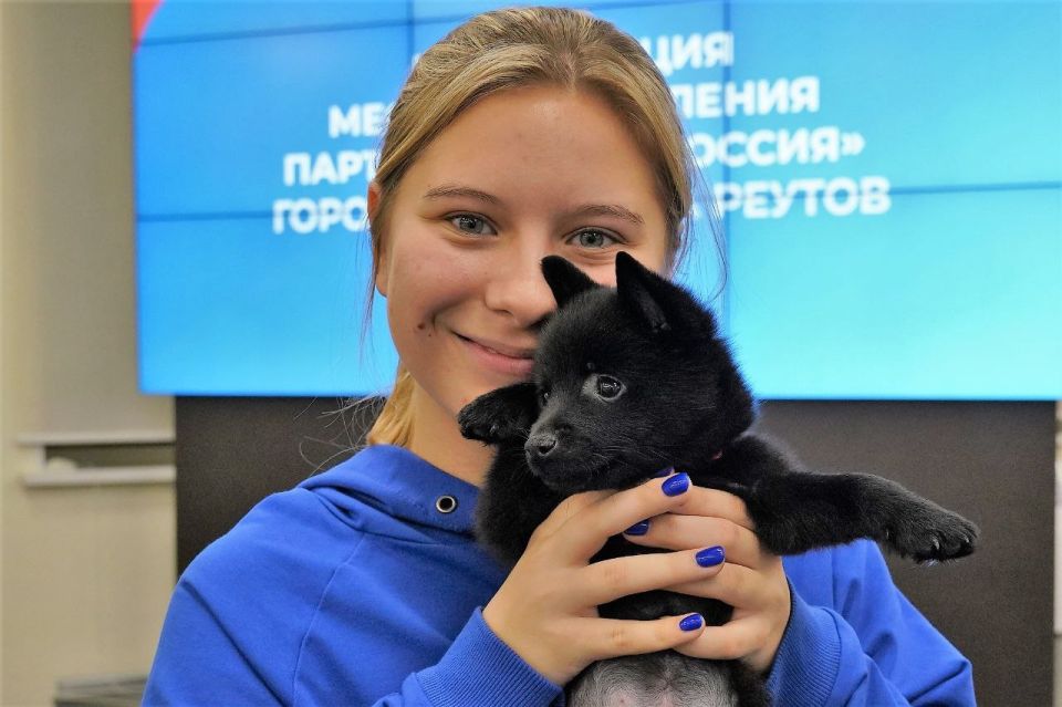 Филипп Науменко: Неделю назад на встрече, посвященной 20-летию Молодой Гвардии Единой России, обсуждали с ребятами различные направления работы организации - патриотическое, событийное и социальное волонтерство, в том числе...