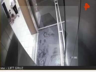 Мужчина избил собаку прямо в лифте одного из жилых домов подмосковного Одинцово