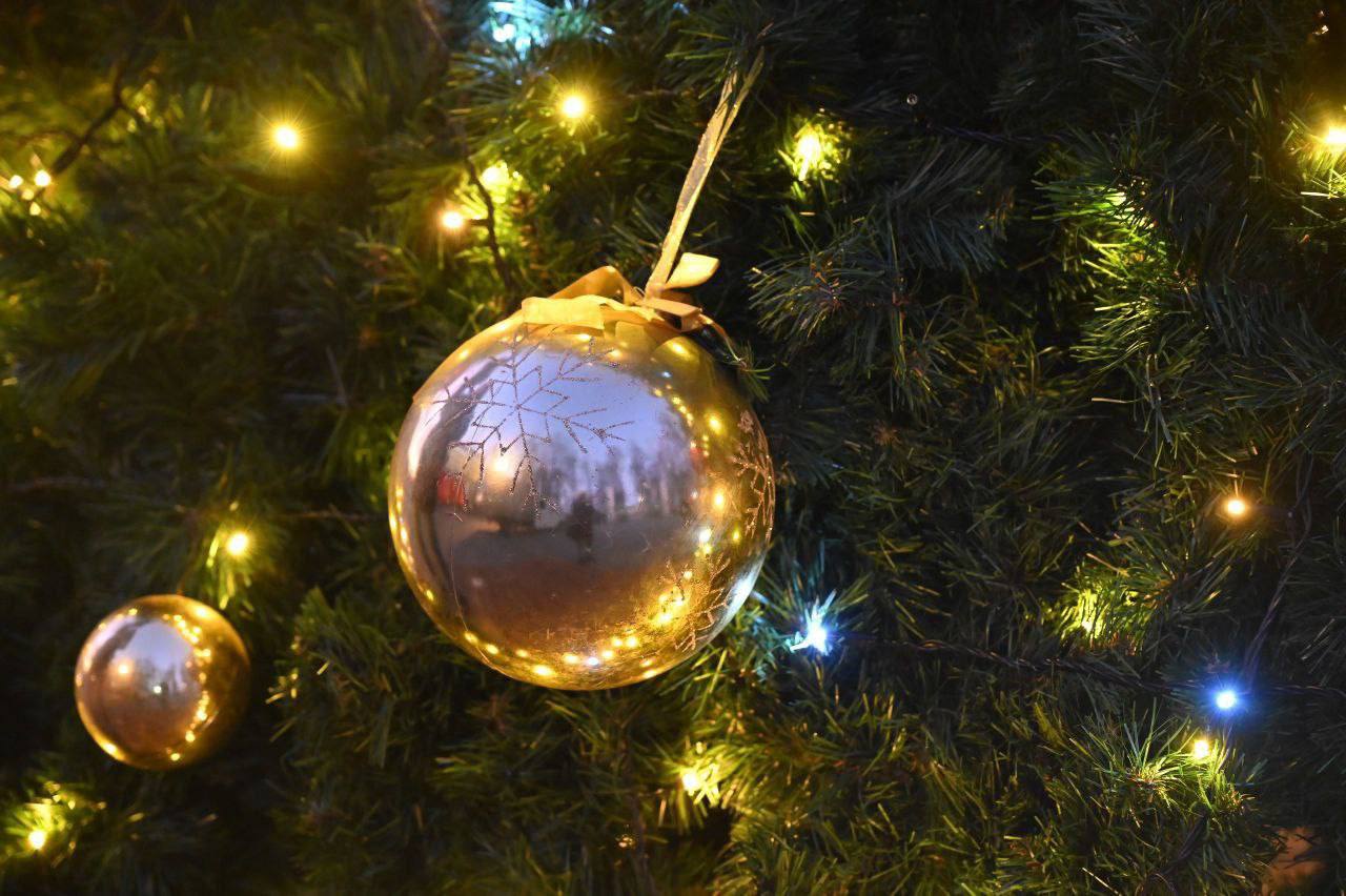 В Серпухове городские катки начали готовить к зимнему сезону В Серпухове городские катки начали готовить к зимнему сезону