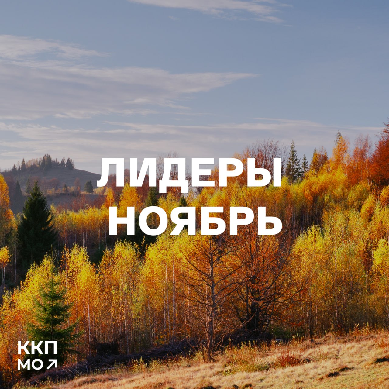 Земля возможностей: 205 новых лотов для дома или бизнеса в Подмосковье