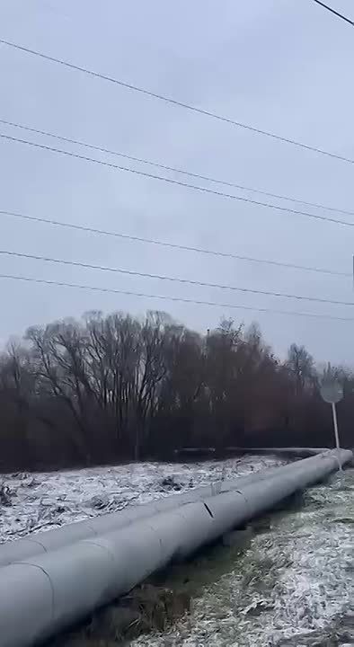 ��������� �������: ������ ���������� ����� � �����������